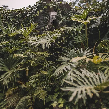 Quinta Torrinha 4* Funchal