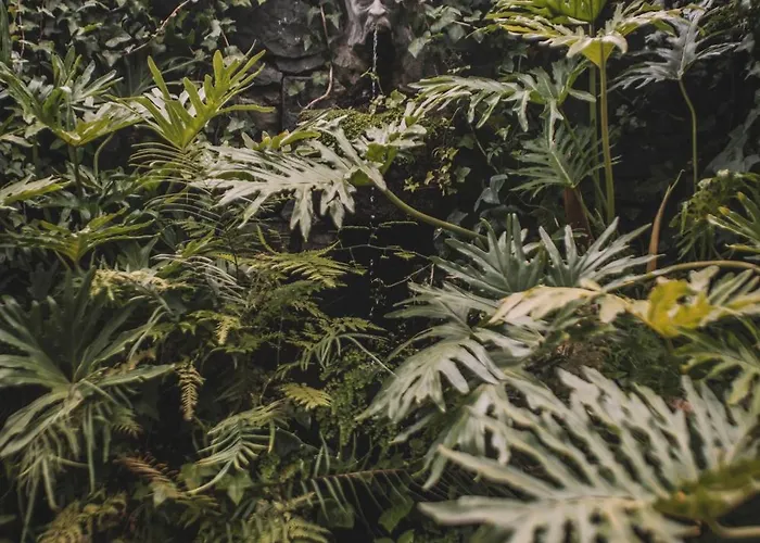 Quinta Torrinha 4* Funchal (Madeira)